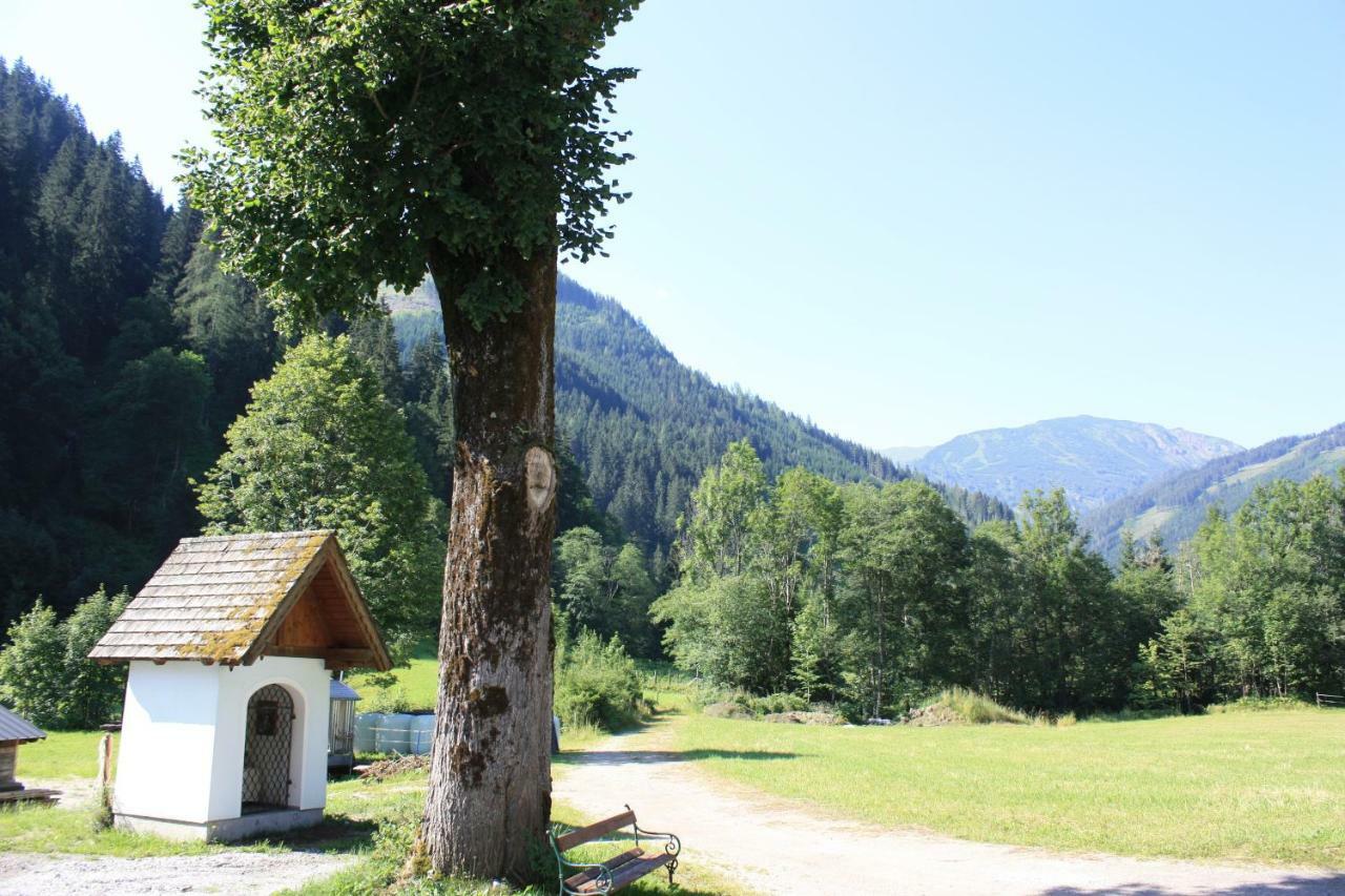 Chalet Ferienhaus Radmer Radmer an der Hasel Εξωτερικό φωτογραφία